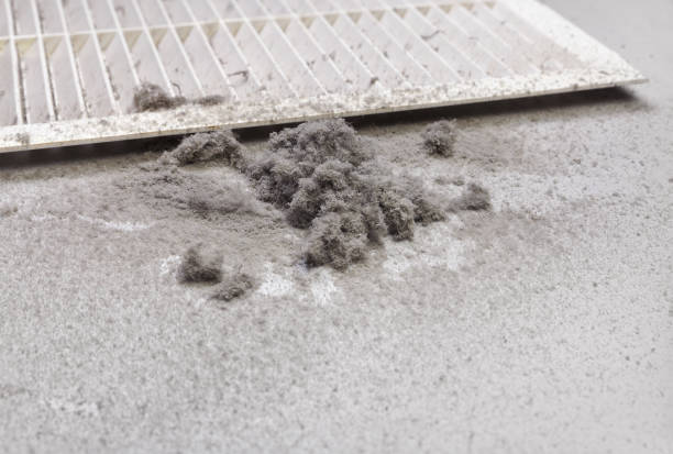 Best Best Air Duct Cleaning Company  in Vineyards, FL