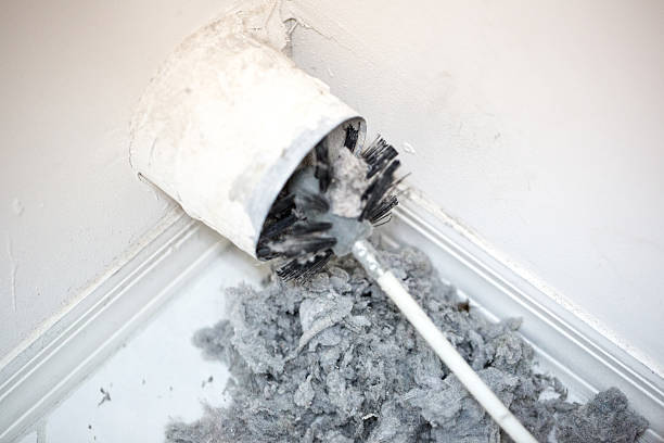 Best Local Air Duct Cleaning Services  in Vineyards, FL